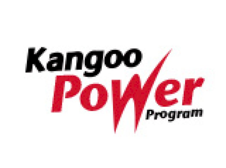Kangoo Power