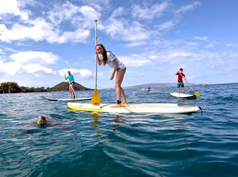 Stand Up Paddle 